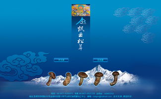 凱云科工貿(mào)與奧遠(yuǎn)科技 以技術(shù)驅(qū)動，賦能昆明與云南的數(shù)字化轉(zhuǎn)型