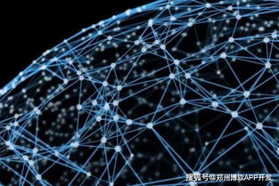 鄭州區(qū)塊鏈技術驅動下的數(shù)字貨幣錢包開發(fā)與網(wǎng)絡技術創(chuàng)新
