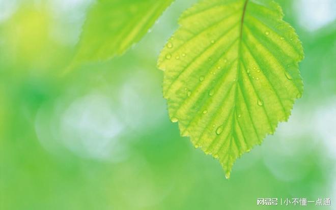 混凝土緩凝劑與高性能減水劑 現(xiàn)代混凝土工程的關鍵輔料生產(chǎn)與應用